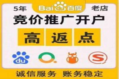 成功SEM托管代运营案例分析